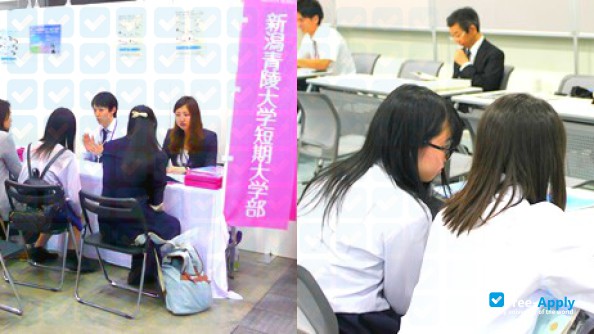 Photo de l’Niigata Seiryo University #9
