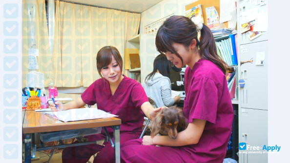 Nippon Veterinary and Life Science University фотография №7