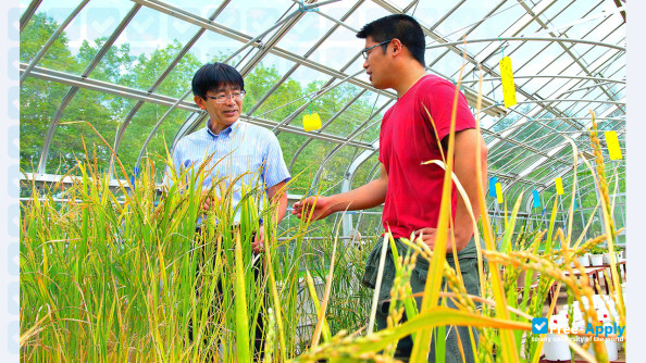 Obihiro University of Agriculture and Veterinary Medicine photo #8