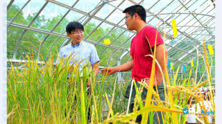 Obihiro University of Agriculture and Veterinary Medicine thumbnail #3