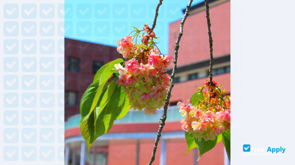 Onomichi City University photo #2