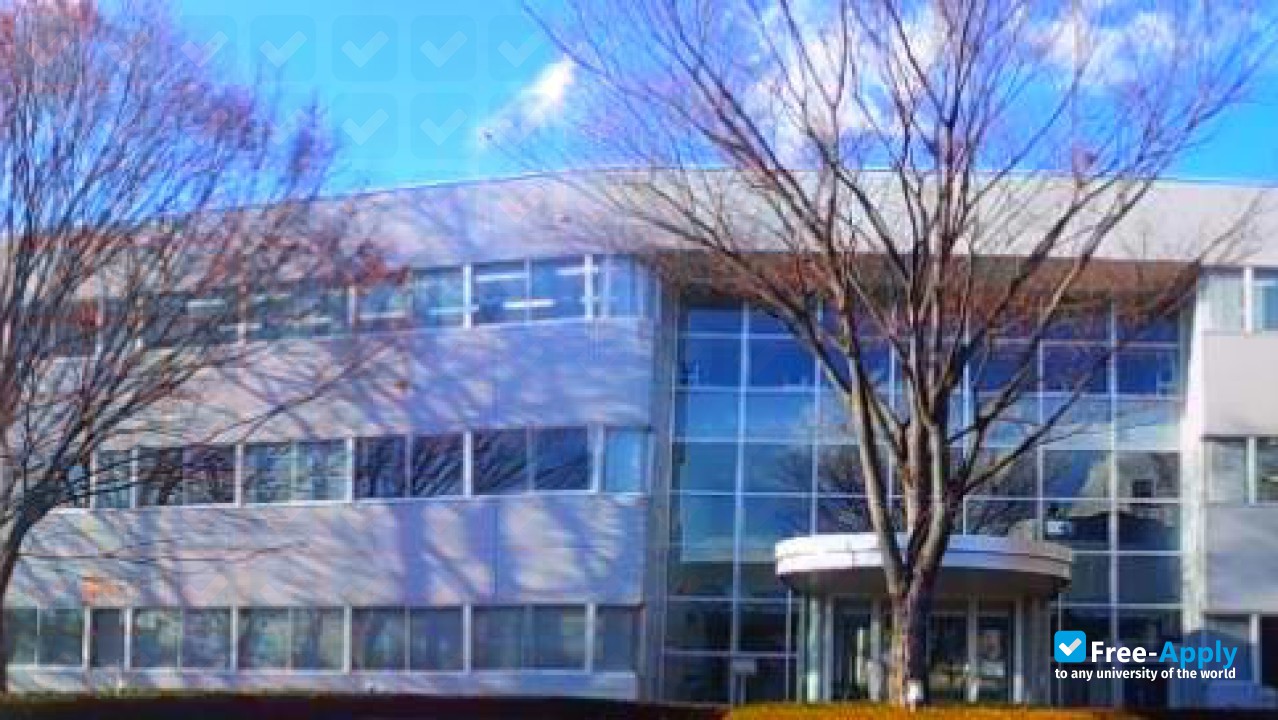 Photo de l’Sun Techno College #8