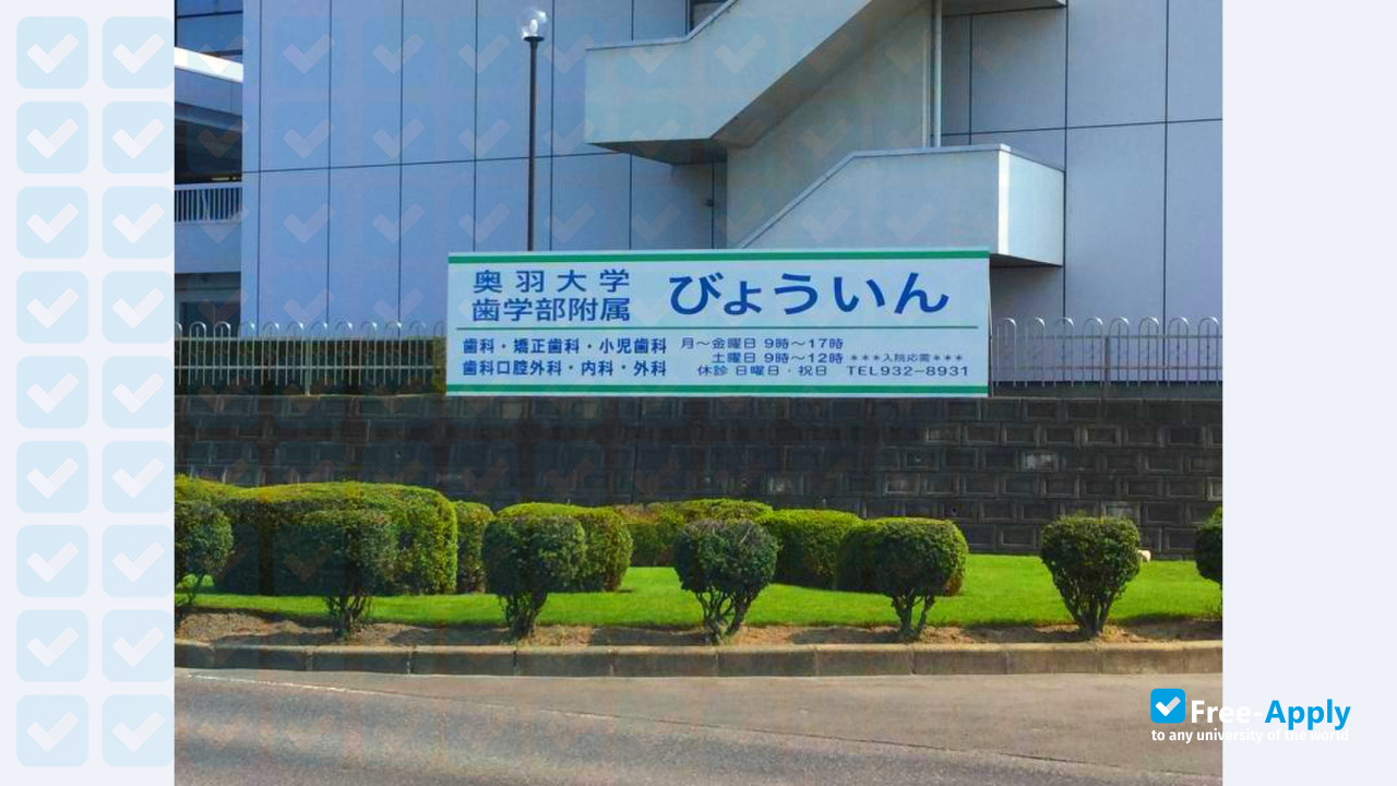 Ohu University photo #9