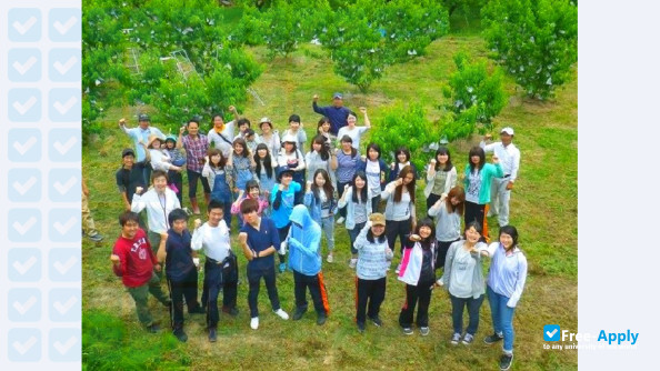 Okayama Gakuin University photo #4