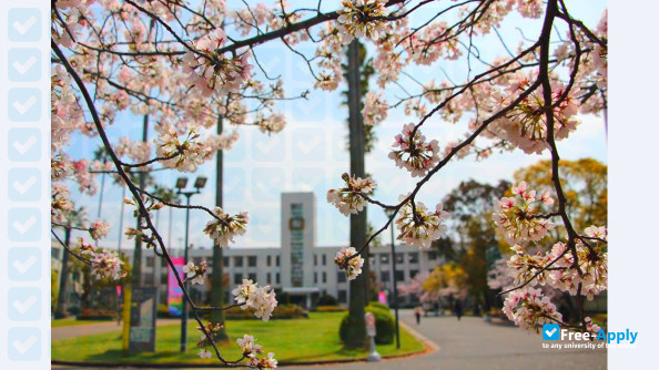 Foto de la Osaka City University #7