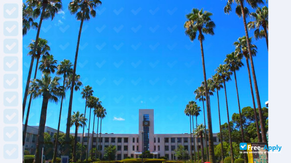 Photo de l’Osaka City University #10