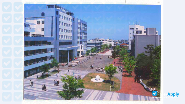 Shikoku University photo #6
