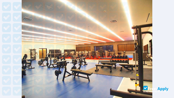 Osaka International University photo #3