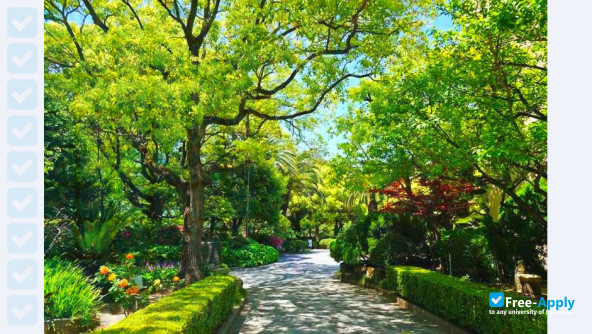 Osaka Jogakuin College фотография №4