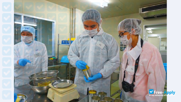 Toyo College of Food Technology photo #14