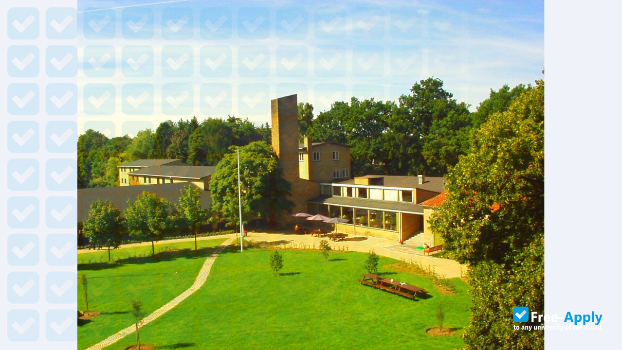 Toyo Eiwa University photo #6