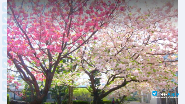 Osaka Kyoiku University photo #9
