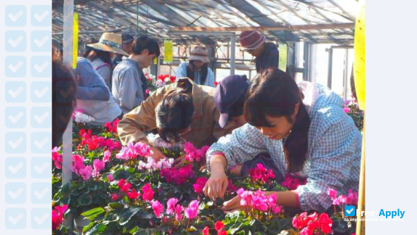 Shinshu University фотография №8