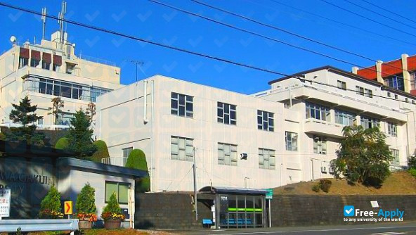 Foto de la Shizuoka Eiwa Gakuin University #12