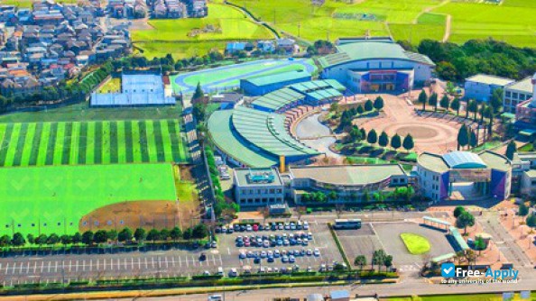 Shobi University photo #8