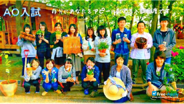 Photo de l’Yamamura Gakuen College #9