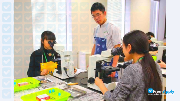 Yamazaki Gakuen University & Junior College photo #8