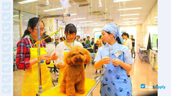 Yamazaki Gakuen University & Junior College photo #12