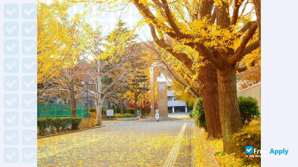 Yokohama City University фотография №14