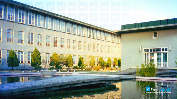 Yokohama City University photo #12