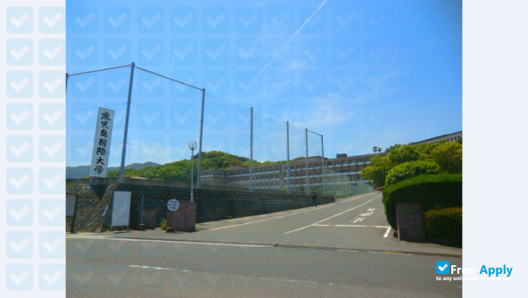 The International University of Kagoshima photo #11