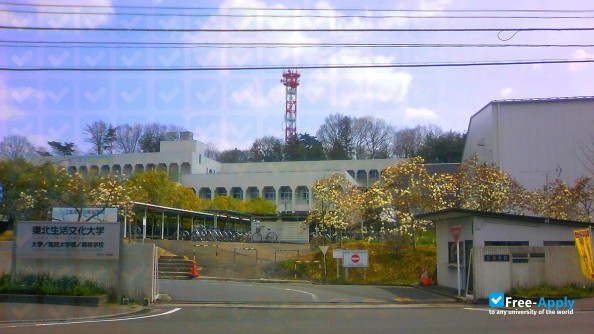 Tohoku Seikatsu Bunka College photo #6