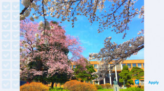 Tohoku University thumbnail #9