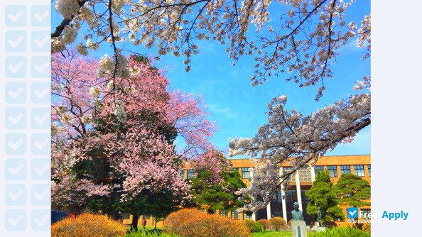 Foto de la Tohoku University #9