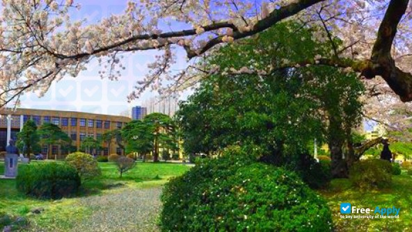 Foto de la Tohoku University #11