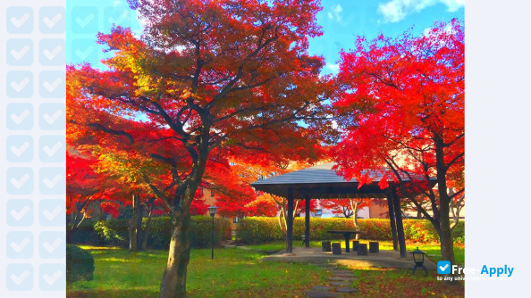 Photo de l’Tohoku University #8