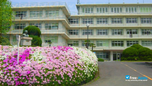 Photo de l’Tokai University Fukuoka Junior College #4