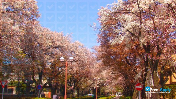 Tokyo Gakugei University photo #3
