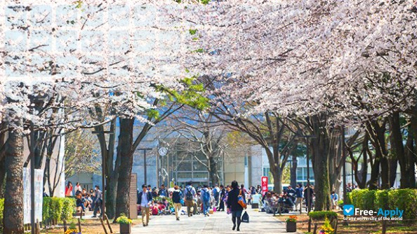 Фотография Tokyo Keizai University