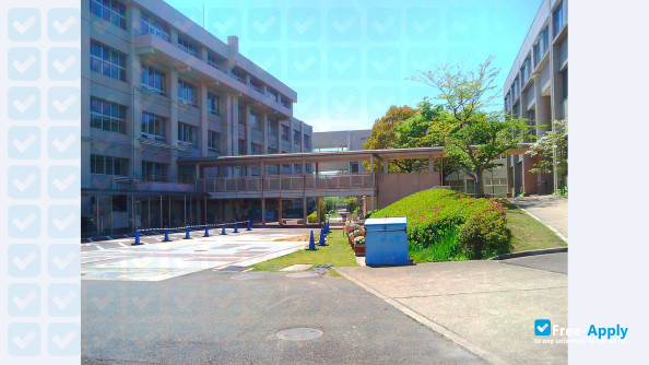 Tokyo Management College фотография №1