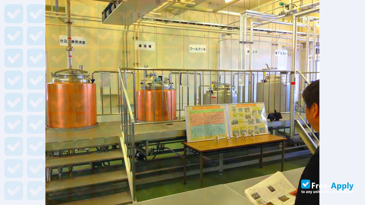 Foto de la Hachinohe Institute of Technology #7