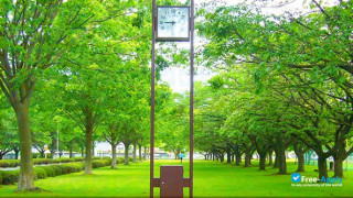 Hachinohe Institute of Technology thumbnail #7