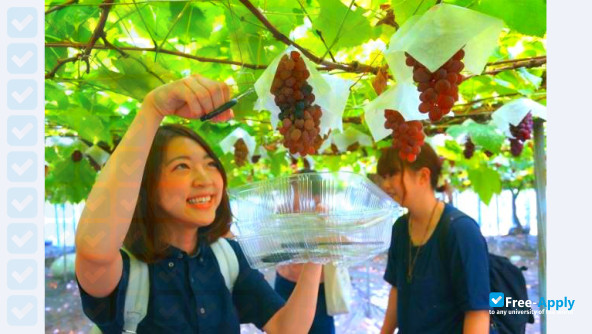 Photo de l’Shitennoji International Buddhist University #2