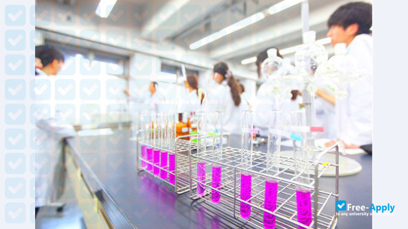 Foto de la Showa College of Pharmaceutical Sciences #11