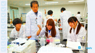 Miniatura de la Nagahama Institute of Bio-Science & Technology #4