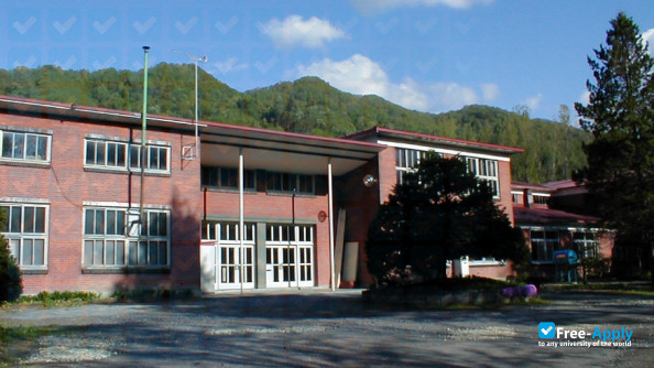 Seisa University photo