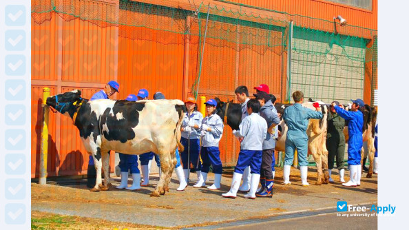 Photo de l’Rakuno Gakuen University #11