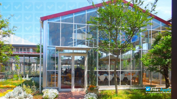 Saitama Junshin Junior College фотография №2