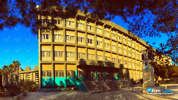Yarmouk University