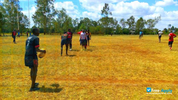 Pioneer International University photo #3