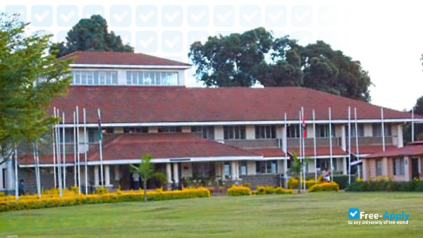 Africa International University (Nairobi Evangelical Graduate School of Theology) фотография №1