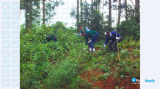 Kenya Forestry Research Institute vignette #5