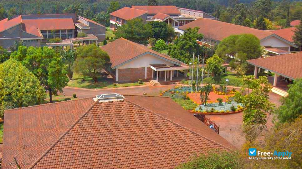 Kenya Forestry Research Institute photo #5