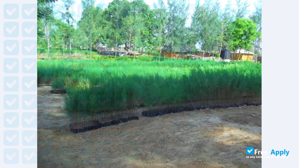 Kenya Forestry Research Institute photo #10