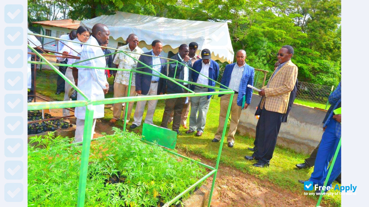 Kenya Forestry Research Institute фотография №6