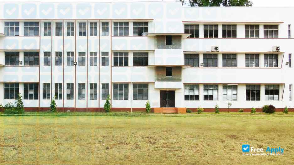 Kenya Institute of Professional Studies Nairobi photo #3